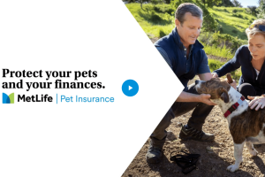 Video Icon_MetLife Pet Insurance Benefits