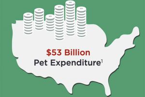 Pet Expenses