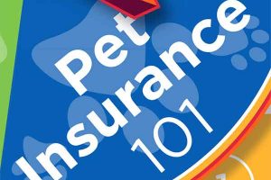 Pet Insurance 101